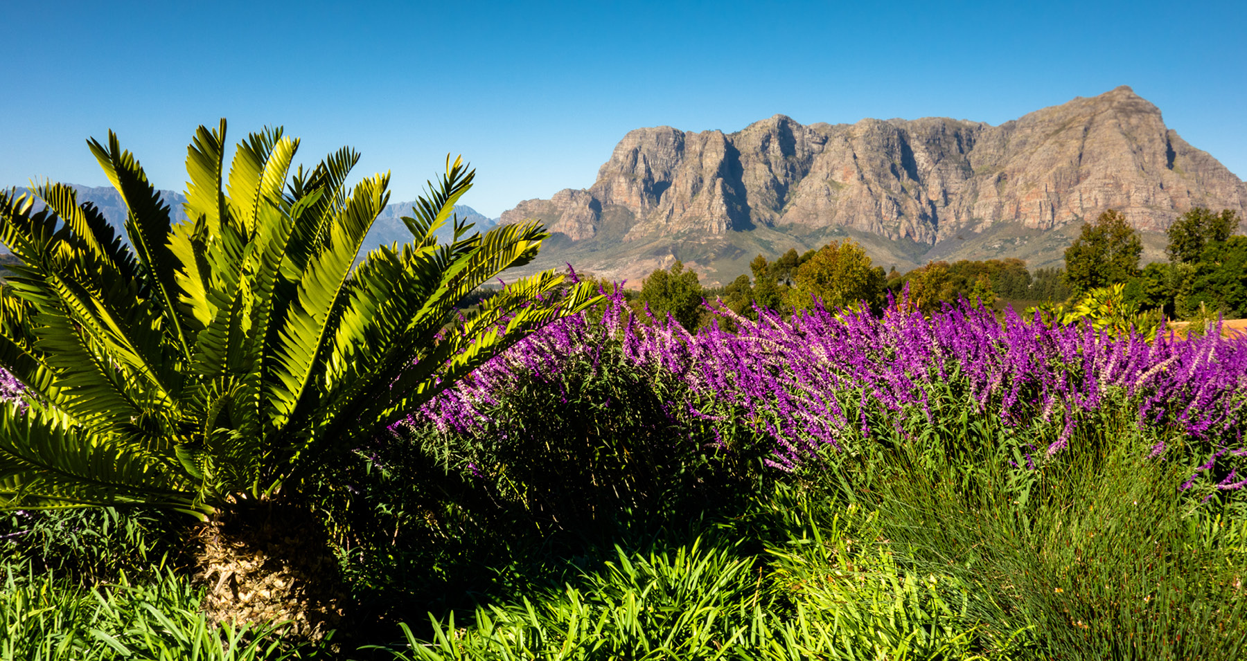 Header_Sudafrika Header_Sudafrika