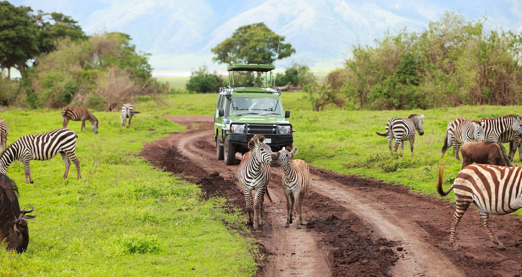 Header_Tanzania_Zanzibar Header_Tanzania_Zanzibar