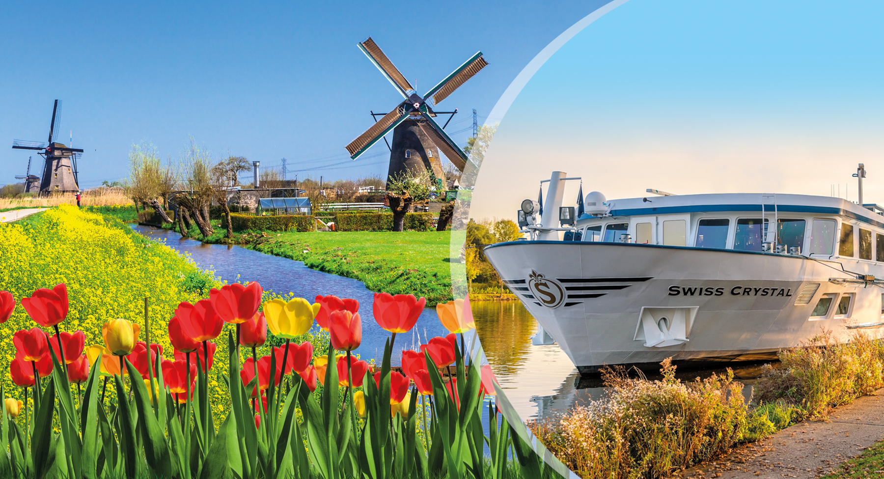 Header_Tulpen_Holland Header_Tulpen_Holland