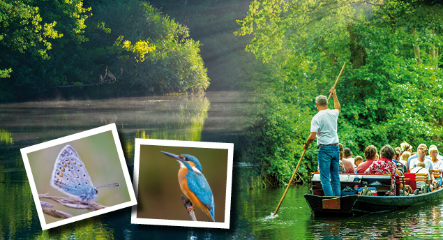 Taubergiessen_header Taubergiessen_header
