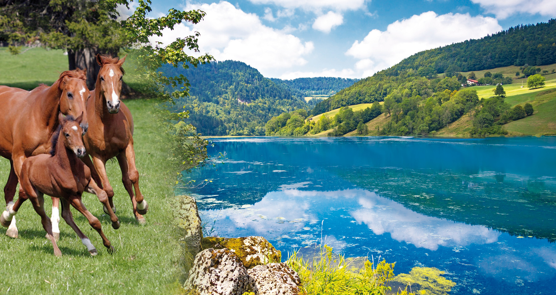 Header_Jura Header_Jura
