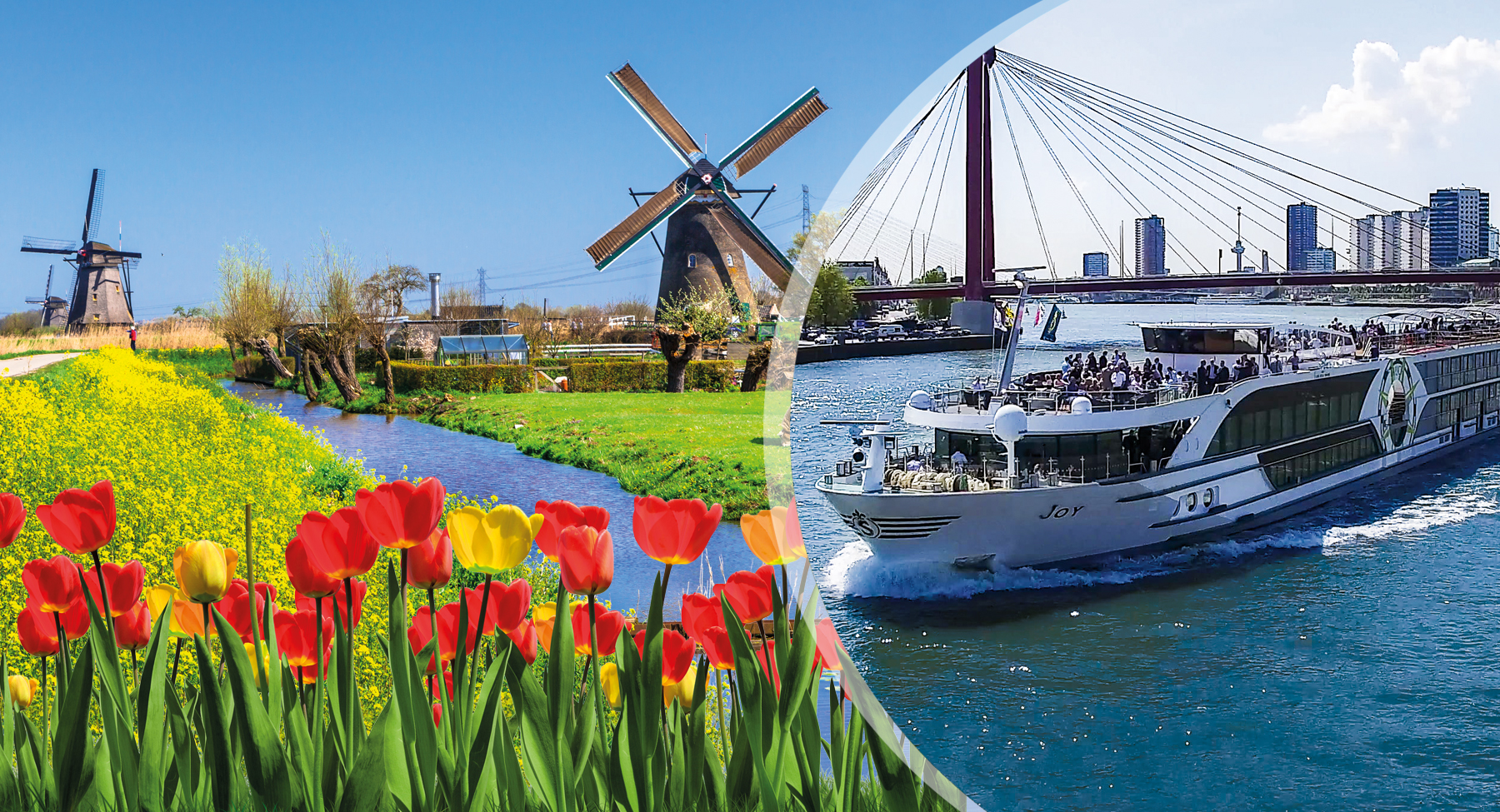 Header_Tulpen_Holland Header_Tulpen_Holland