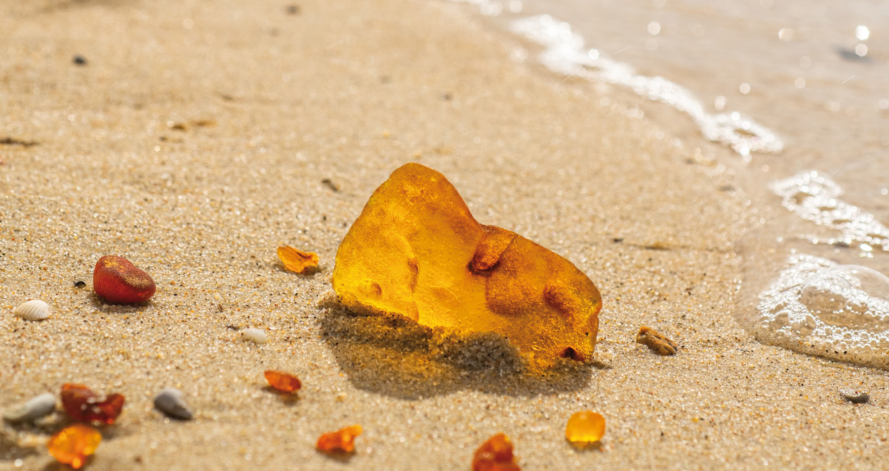 Header_Bernsteinkueste_2026