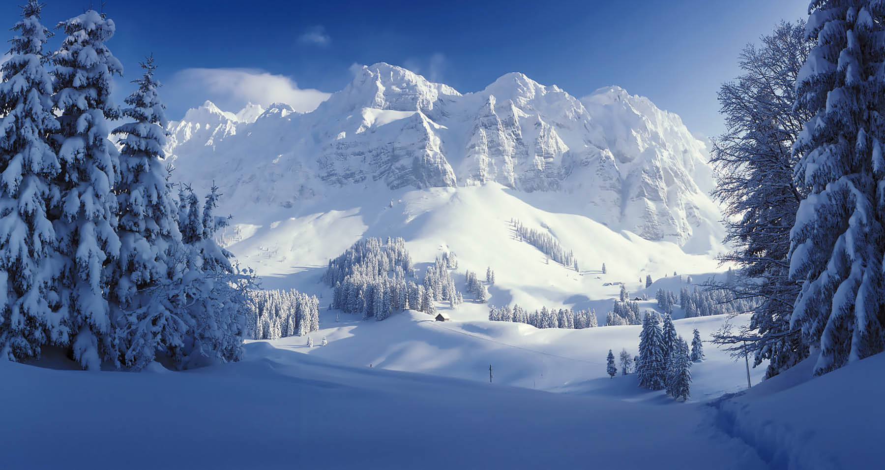 Header_Appenzell Header_Appenzell