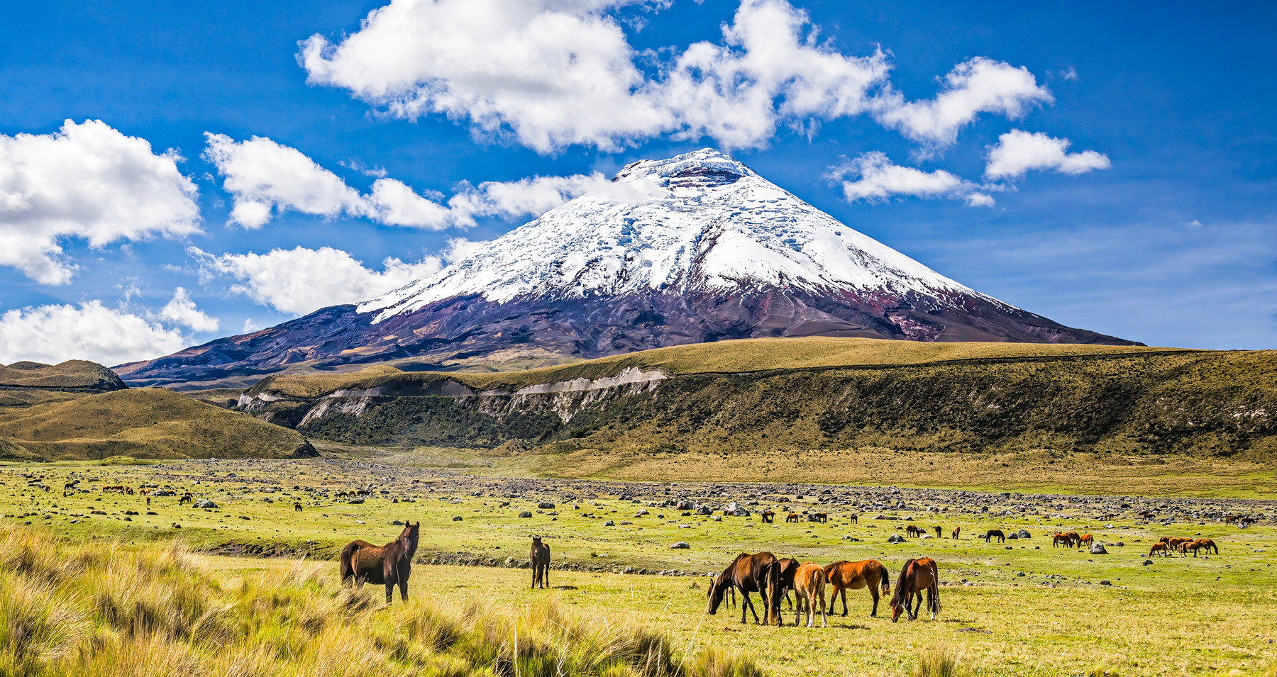 Header_Ecuador_Galapagos