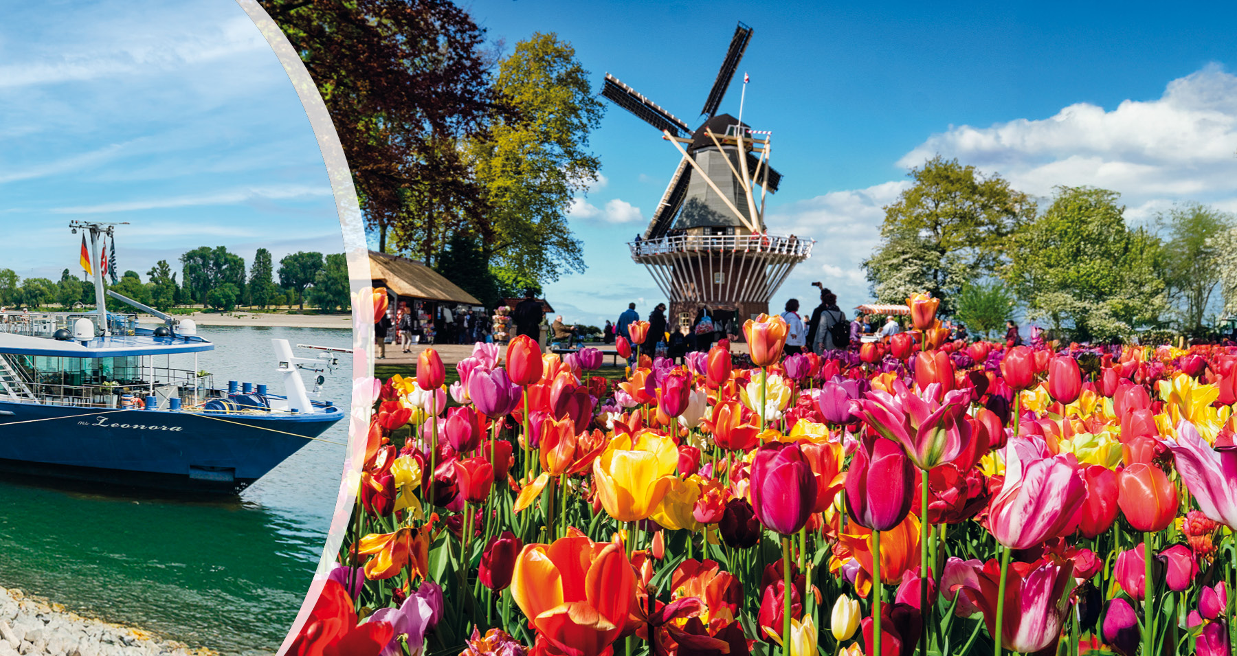 Header_Zur_Tulpenblüte_nach_Holland_2026
